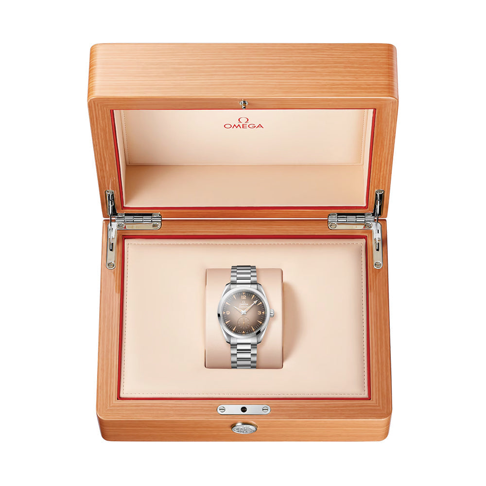 Seamaster Railmaster 38mm - Brown on Bracelet