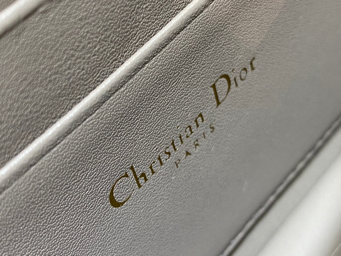 my cd mini 21 dark brown lambskin
