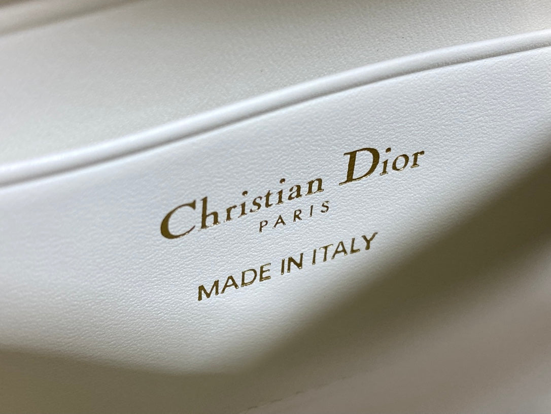 Dior 2025 Microbead Sequin Embroidery Bag 21cm White Gold Calfskin 270503