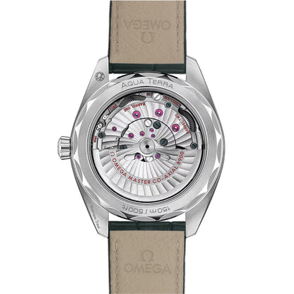 Seamaster Aqua Terra 150M 41mm - Green on Leather Strap