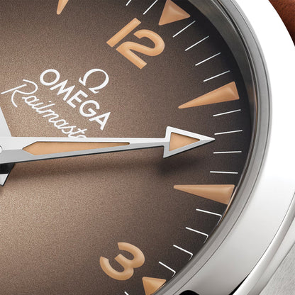 Seamaster Railmaster 38mm - Brown on Leather Strap