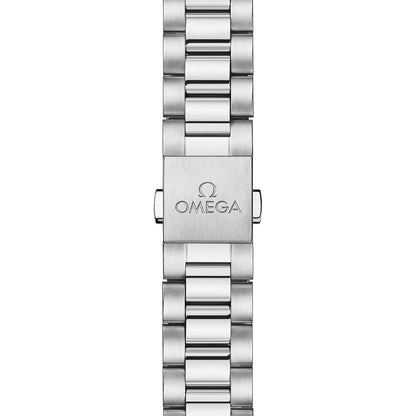 Seamaster Railmaster 38mm - Grey on Bracelet