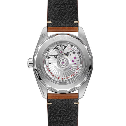 Seamaster Railmaster 38mm - Brown on Leather Strap