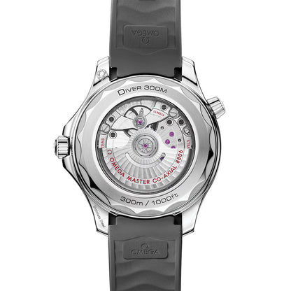 Seamaster Diver 300M Titanium Bezel 42mm - Grey on Rubber Strap